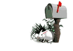 Bunny Mail Box