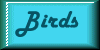 Birds Button