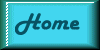 Home Button